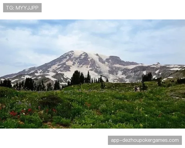 西雅图风暴发布城市版球衣，设计灵感来自雷尼尔山